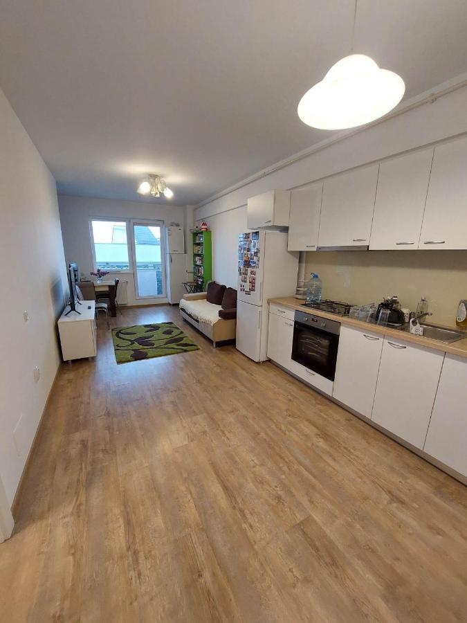 Iris Cluj Apartament ภายนอก รูปภาพ